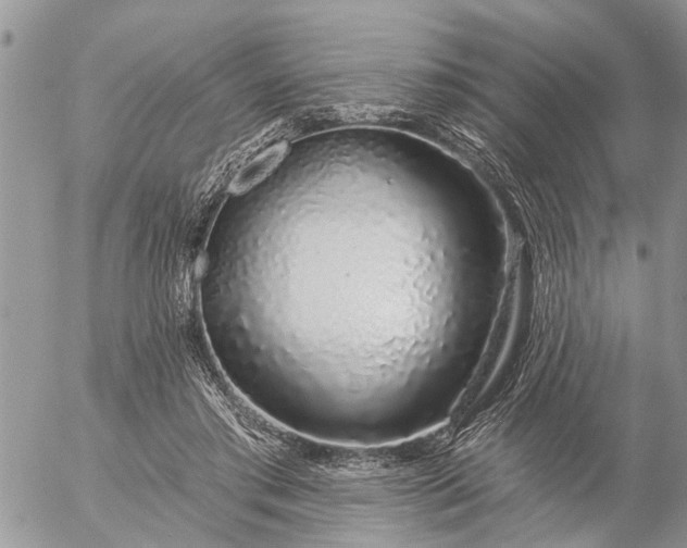 X0000057090405200509231655