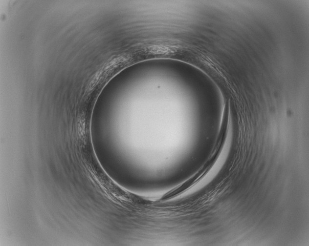 X0000057090407200509231655