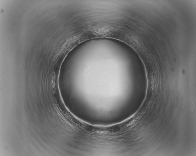 X0000057090408200509231655