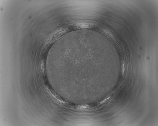 X0000057090410200509231655