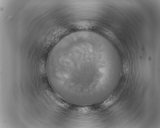 X0000057090411200509231655