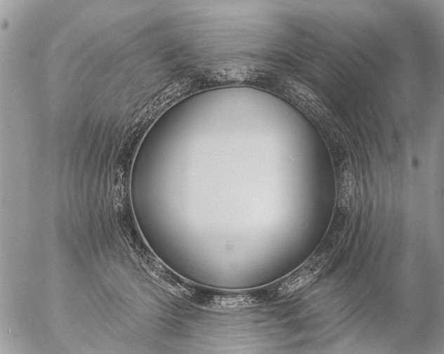 X0000057090414200509231655