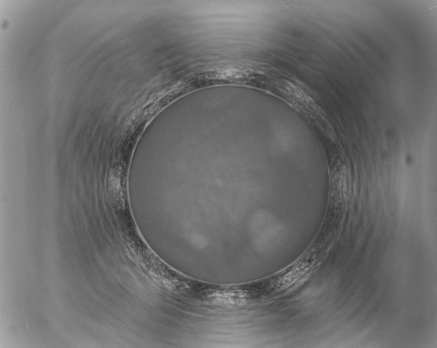 X0000057090415200509231655