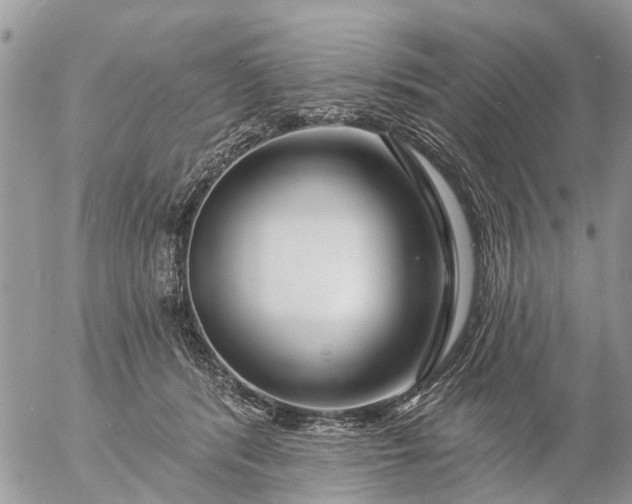 X0000057090416200509231655