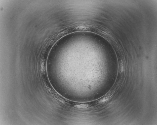 X0000057090417200509231655