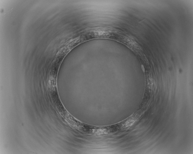 X0000057090419200509231655