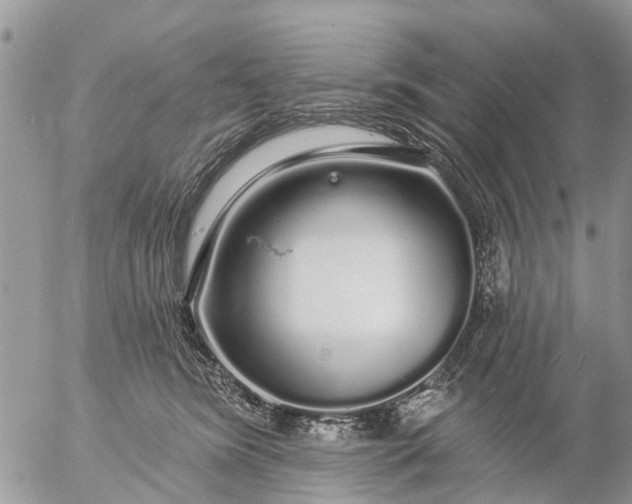 X0000057090420200509231655