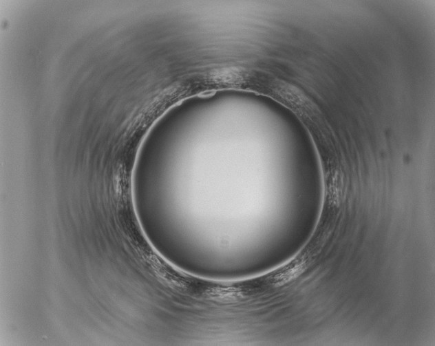 X0000057090424200509231655