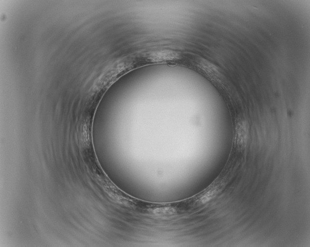 X0000057090426200509231655