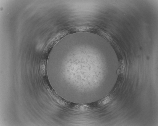 X0000057090427200509231655