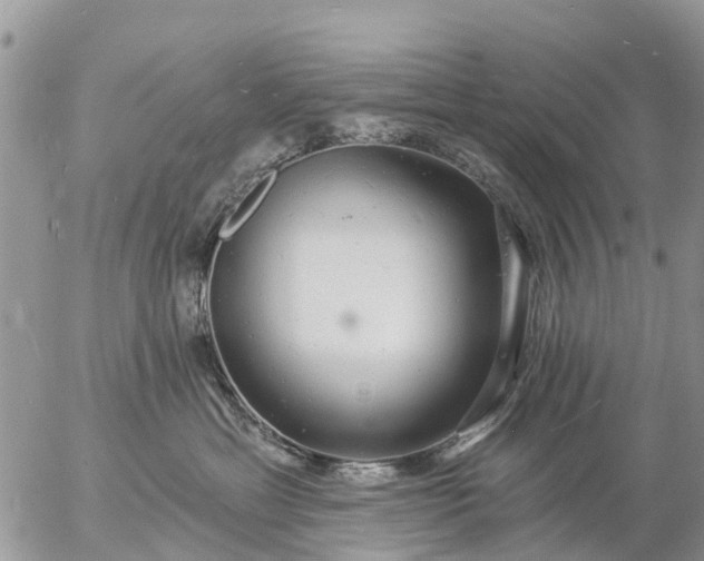 X0000057090429200509231655