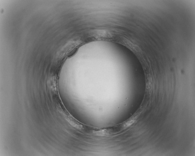 X0000057090430200509231654