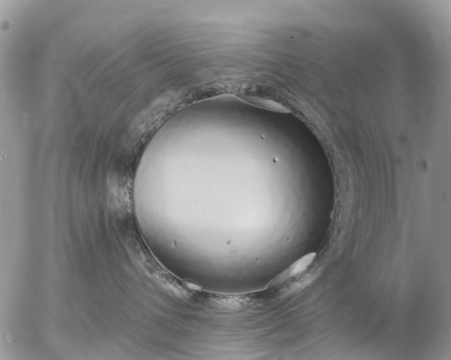 X0000057090432200509231654