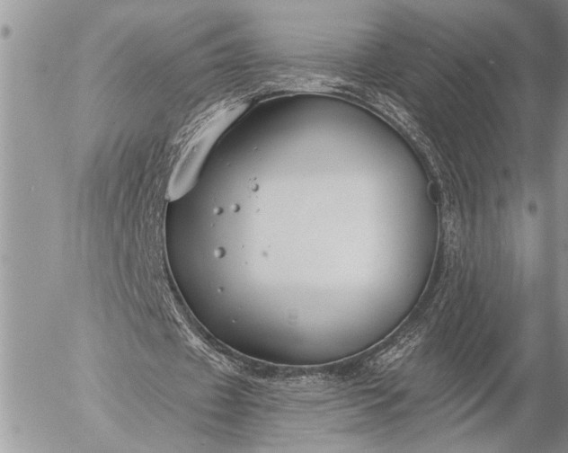 X0000057090433200509231654