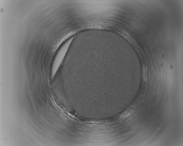 X0000057090434200509231654