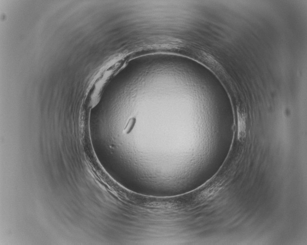 X0000057090435200509231654