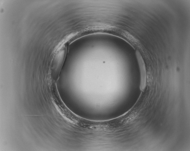 X0000057090436200509231654