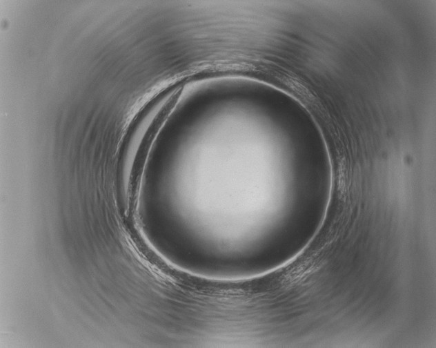 X0000057090438200509231654