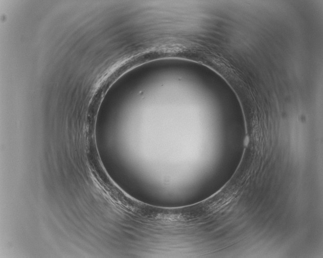 X0000057090440200509231654