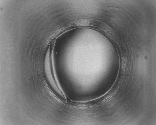 X0000057090441200509231654