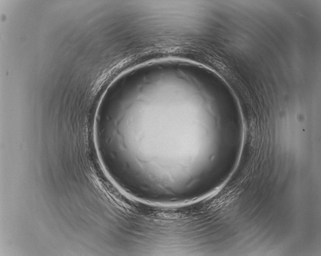 X0000057090442200509231654