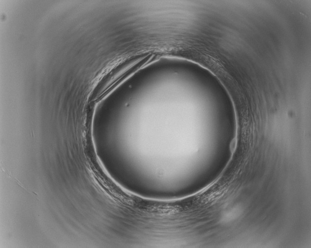 X0000057090443200509231654