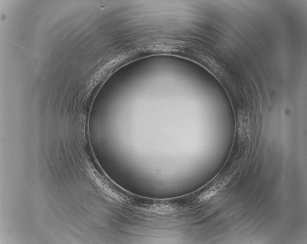 X0000057090445200509231654