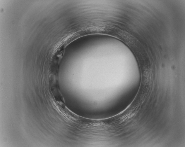 X0000057090446200509231654