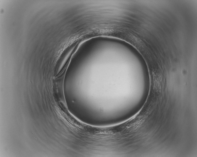 X0000057090447200509231654