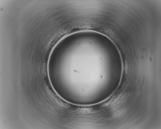 X0000057090449200509231654