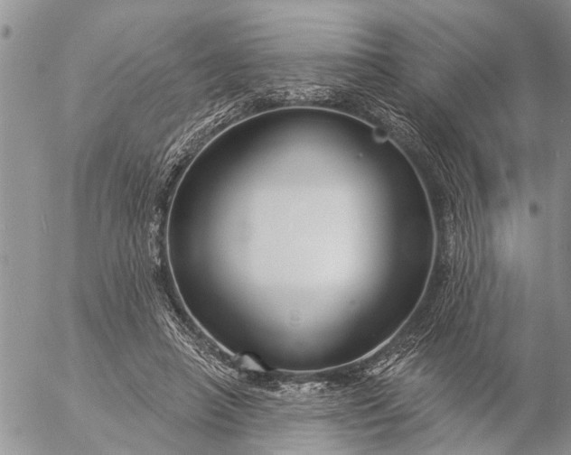 X0000057090450200509231654