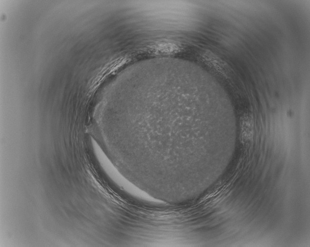 X0000057090451200509231654