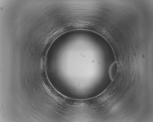 X0000057090454200509231654