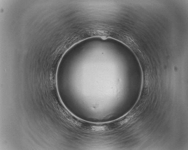 X0000057090457200509231654