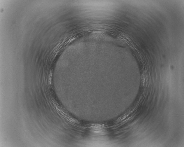 X0000057090458200509231654