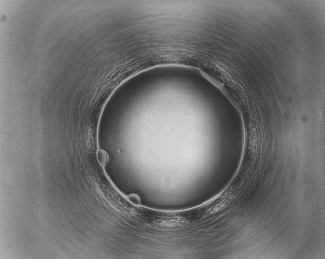 X0000057090459200509231654