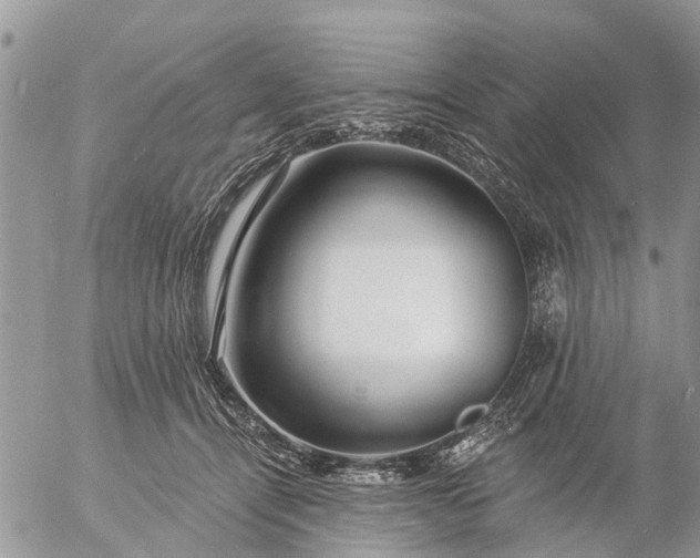 X0000057090464200509231654