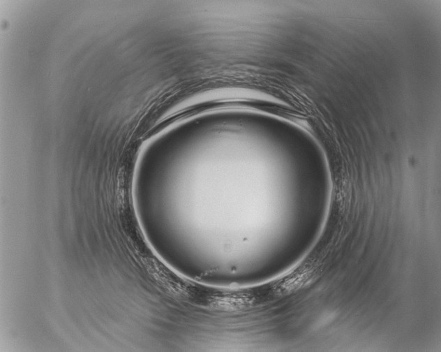 X0000057090466200509231654