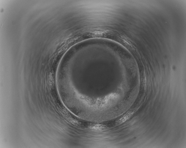 X0000057090467200509231654