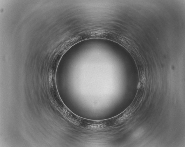 X0000057090468200509231654