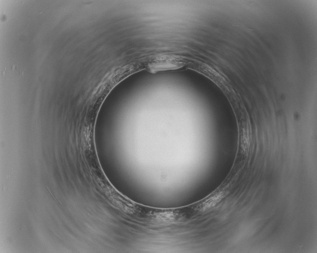 X0000057090473200509231654