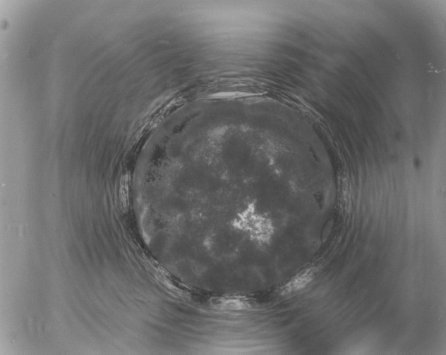 X0000057090475200509231654