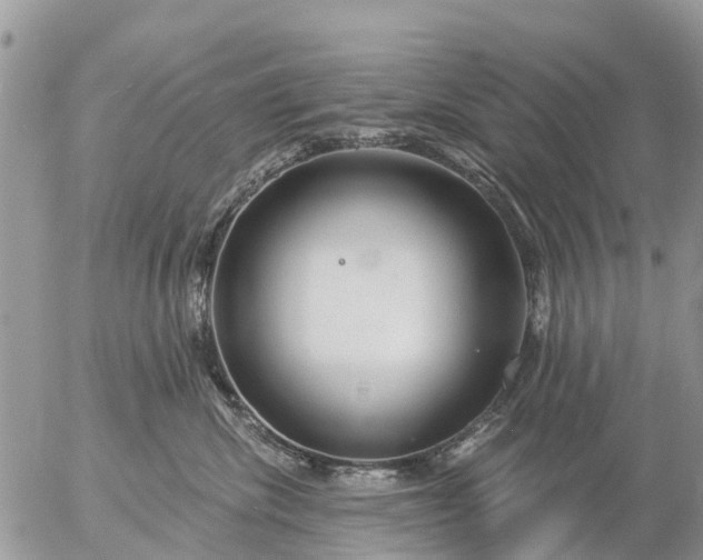 X0000057090476200509231654