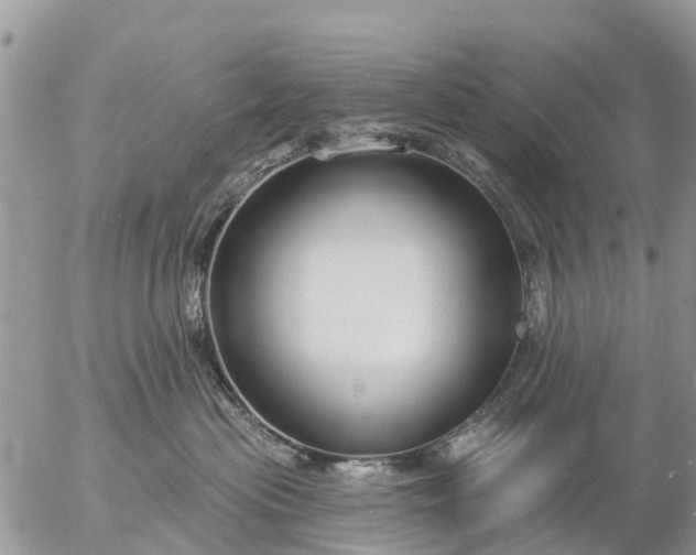 X0000057090477200509231654