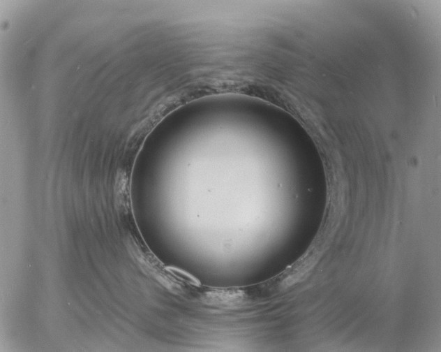 X0000057090480200509231654