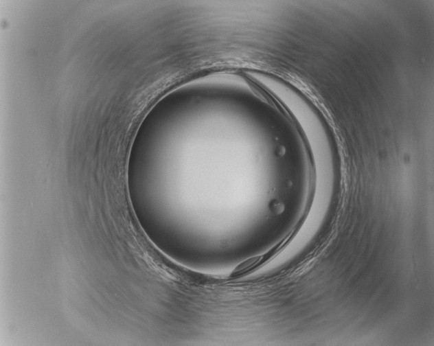 X0000057090481200509231654