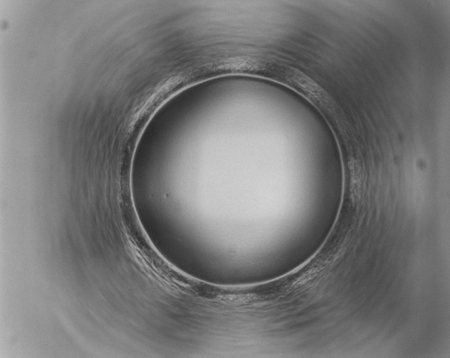 X0000057090482200509231654