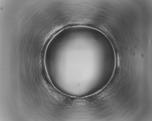 X0000057090483200509231654