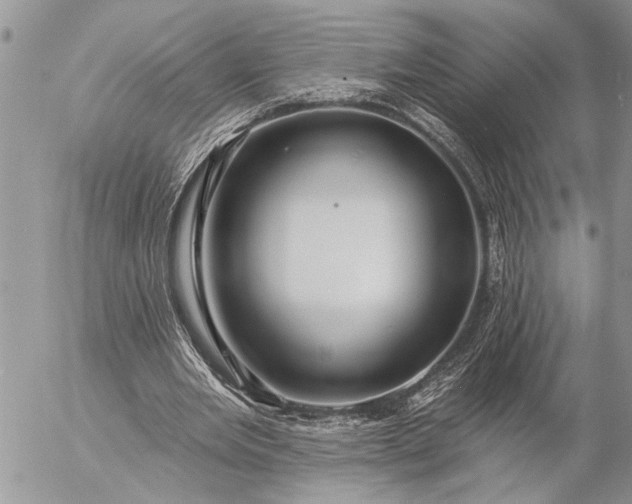 X0000057090485200509231654