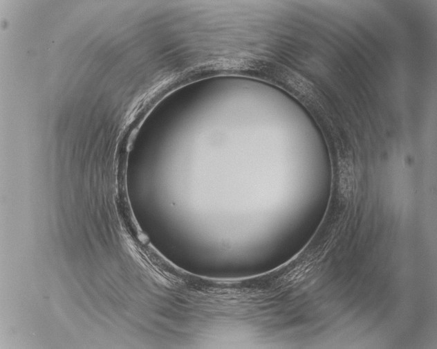 X0000057090486200509231654